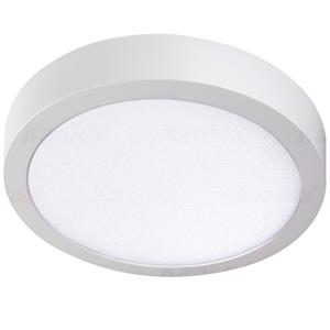 CARSA V2LED 24W-NW-W