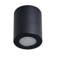 SANI IP44 DSO-B   Přisazené svítidlo