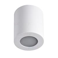 SANI IP44 DSO-W   Přisazené svítidlo